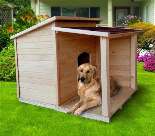 A Pet House