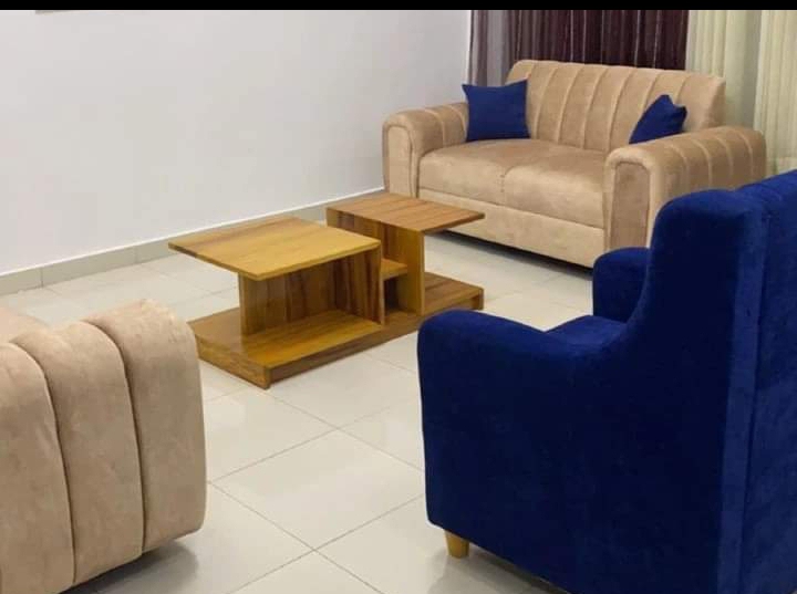 Elegant Couch both stylish and comfortable Sofa with Sophisticated and highly customizable on a cheap price
