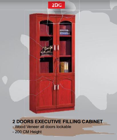2 Doors executive filling cabinet igurishwa