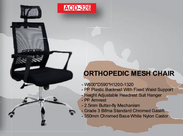 Orthopedic Mesh Chair on a Nice price